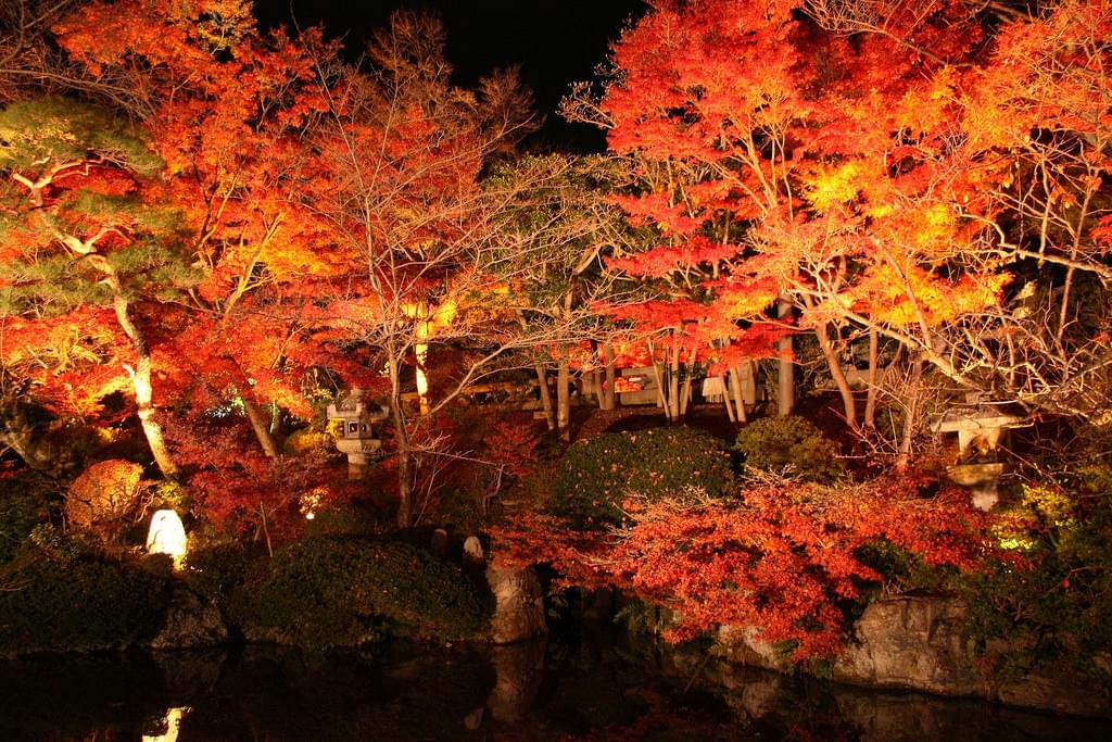 見どころは？期間は？清水寺の秋の風物詩、紅葉のライトアップ徹底解説