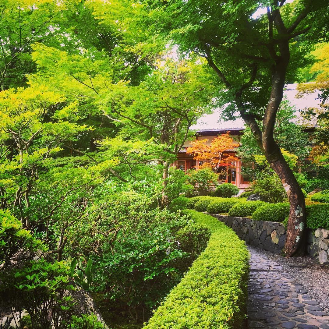 願いがかなうと人気の京都・鈴虫寺！説法の待ち時間はどのくらい？