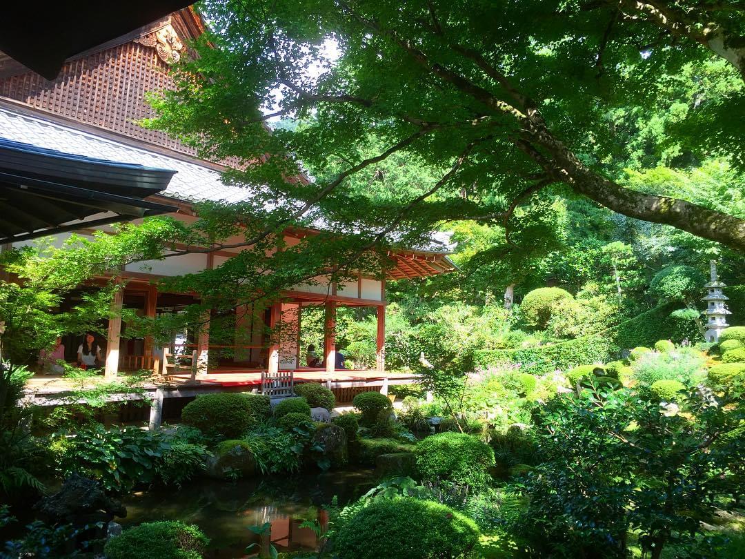京都・三千院へ紅葉を見に行こう！日々の喧騒を離れて癒されたい
