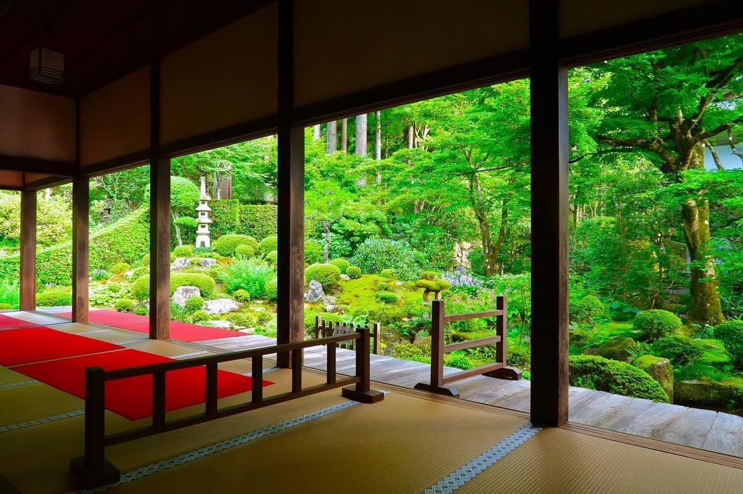 京都・三千院へ紅葉を見に行こう！日々の喧騒を離れて癒されたい