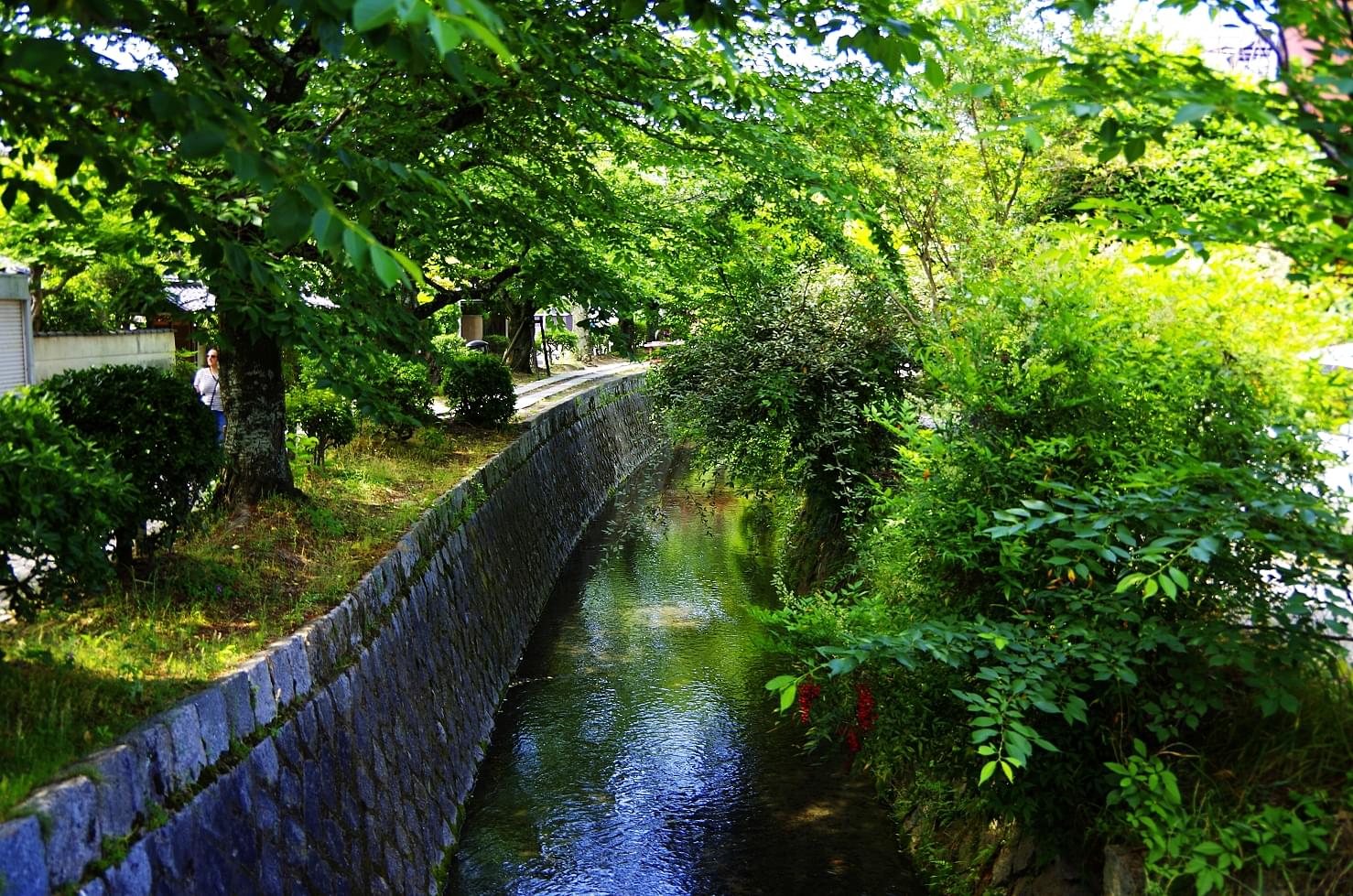 紅葉が美しくて有名な京都の哲学の道ってどんなところ？