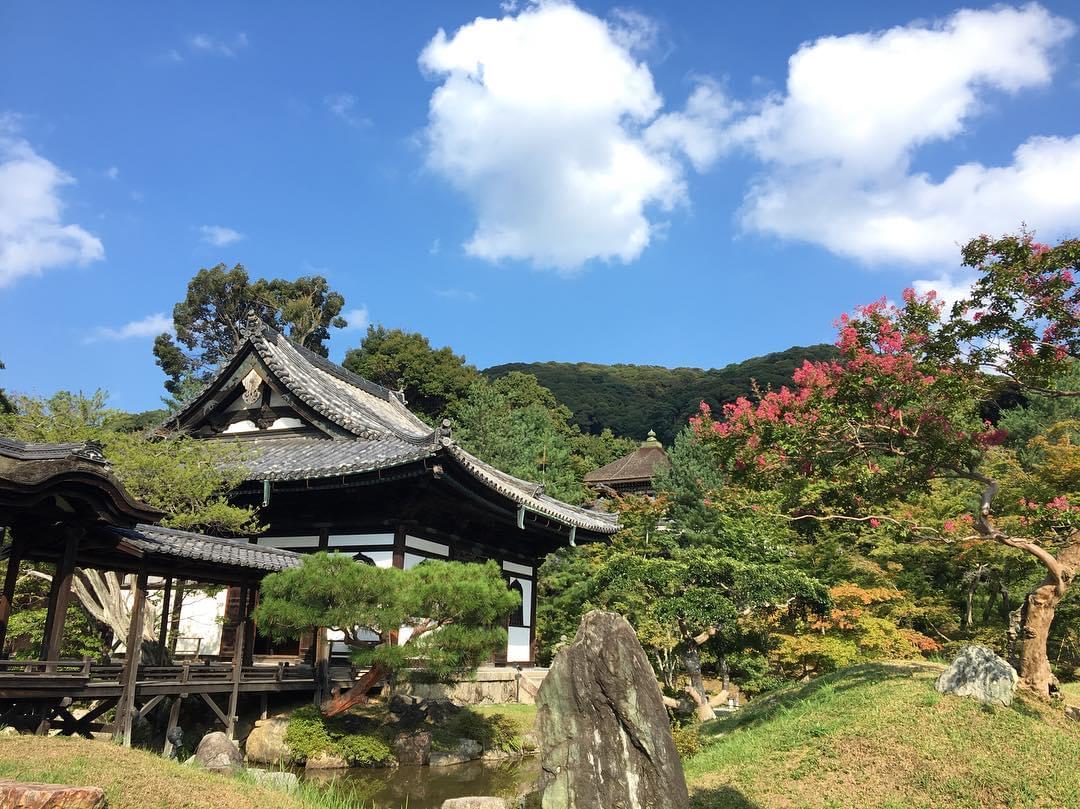京都・高台寺の紅葉を見に行こう！北政所が愛した庭園は必見