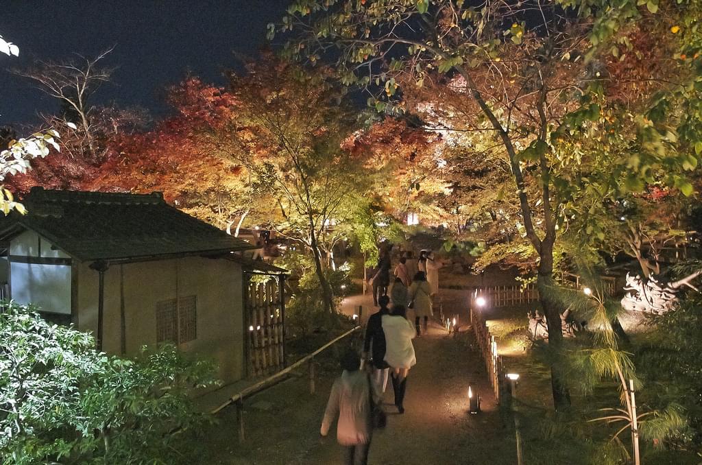 京都・高台寺の紅葉を見に行こう！北政所が愛した庭園は必見