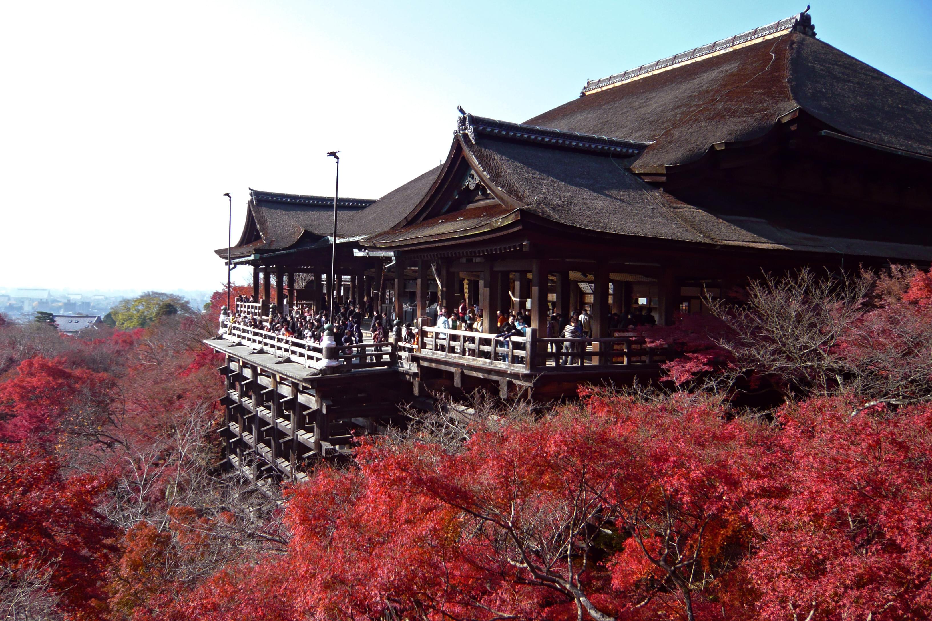 京都の定番スポット清水寺で秋の紅葉を楽しもう！