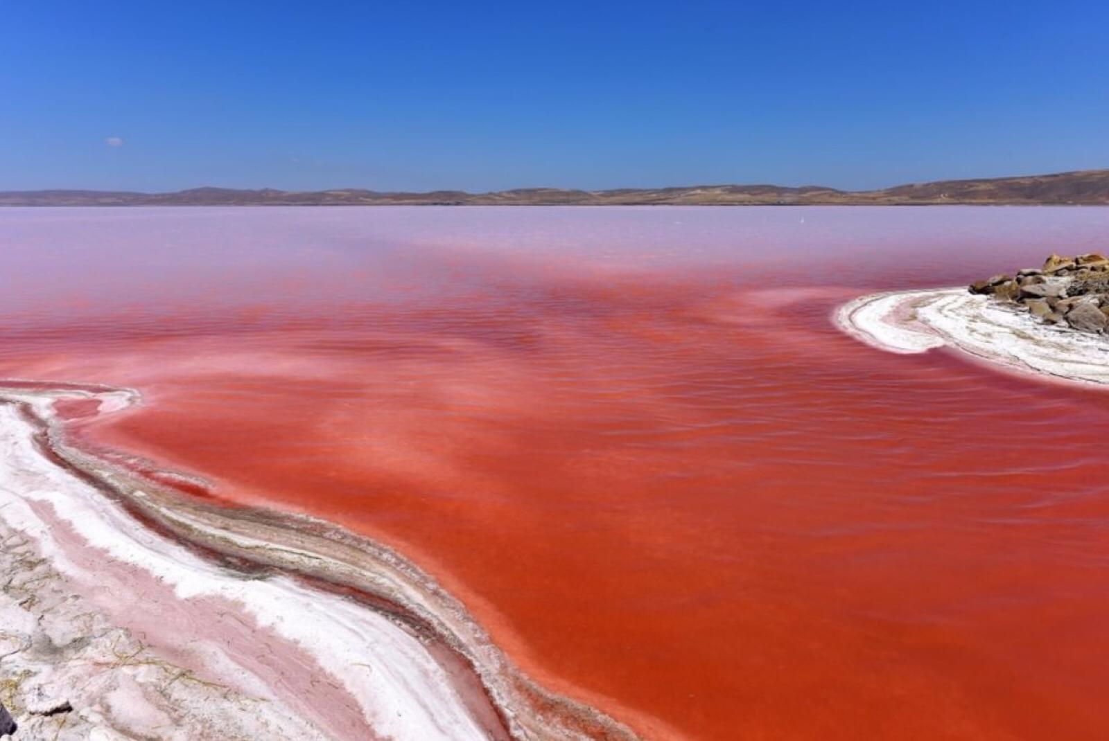 大量のフラミンゴも！トルコ「トゥズ湖」観光で塩が創る絶景を目撃！