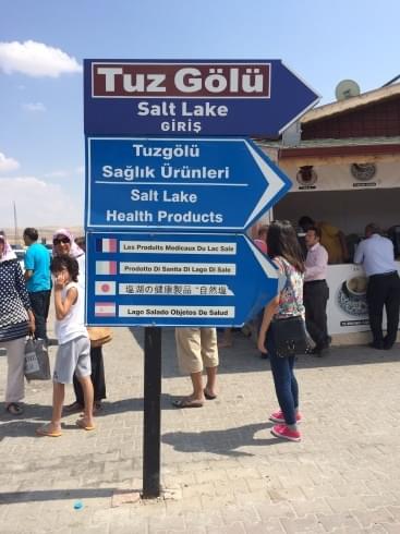 大量のフラミンゴも！トルコ「トゥズ湖」観光で塩が創る絶景を目撃！