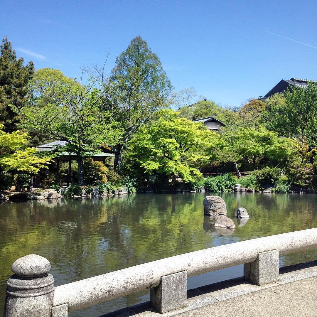 京都きっての桜の名所、円山公園へ出かけてみよう！