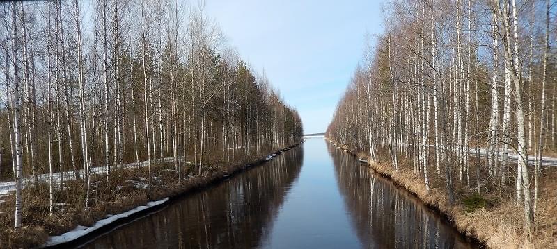 フィンランド旅行でおすすめのアクティビティ！湖畔サイクリングを楽しもう