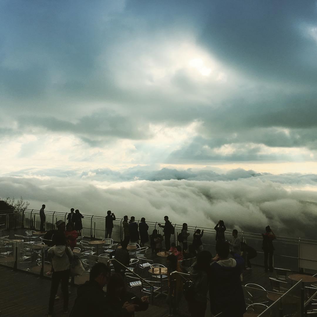 北海道・トマムの雲海テラスで朝カフェ！雲海の発生確率はどのくらい？