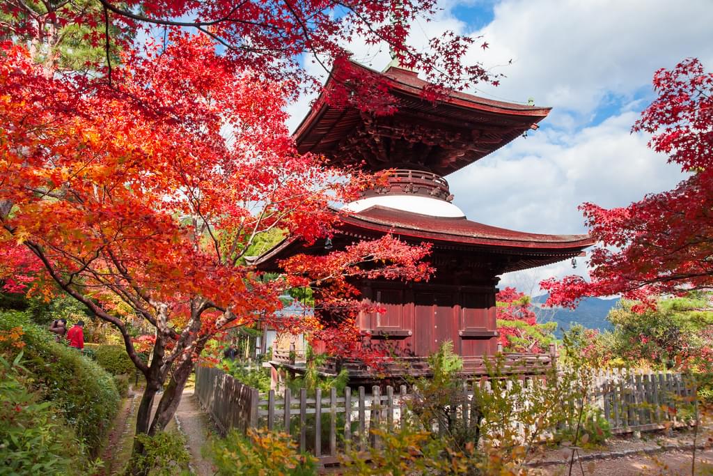 秋は京都へ観光旅行に！嵐山の紅葉を見に行こう！
