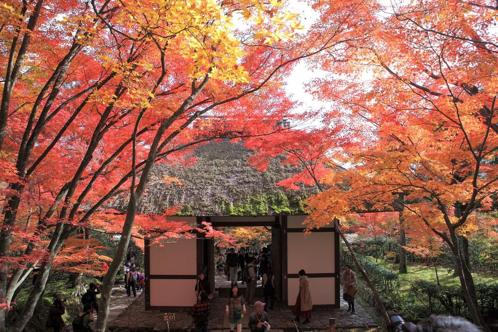 秋は京都へ観光旅行に！嵐山の紅葉を見に行こう！