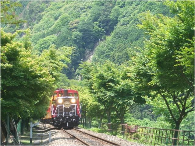 風情あふれる京都嵐山～嵯峨野トロッコ列車の旅！
