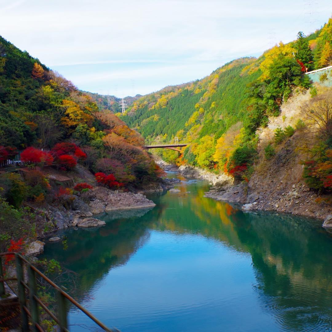 綺麗な時期に紅葉を観たい！京都・嵐山の紅葉、ピークはいつ？