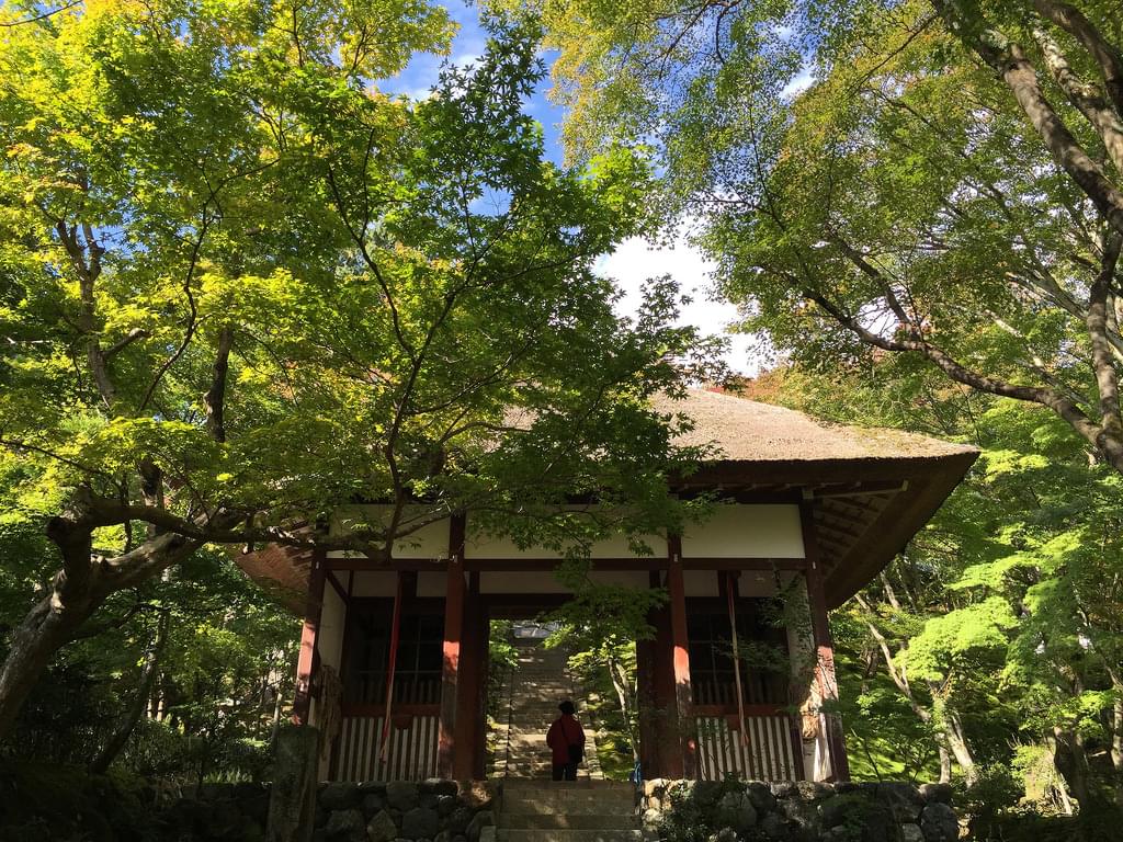 綺麗な時期に紅葉を観たい！京都・嵐山の紅葉、ピークはいつ？