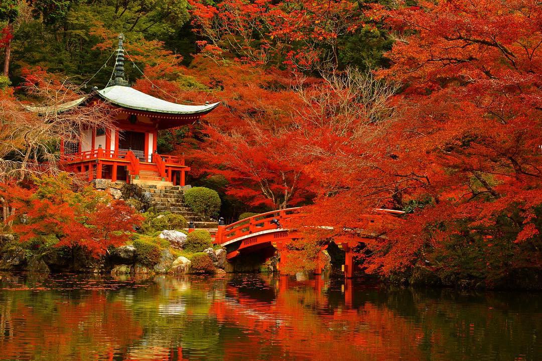京都・醍醐寺はアクセス途中にお楽しみも！美しい境内と歴史ある建造物のコラボ