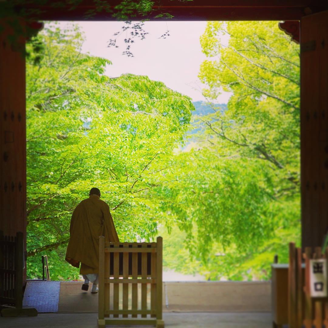 京都・醍醐寺はアクセス途中にお楽しみも！美しい境内と歴史ある建造物のコラボ
