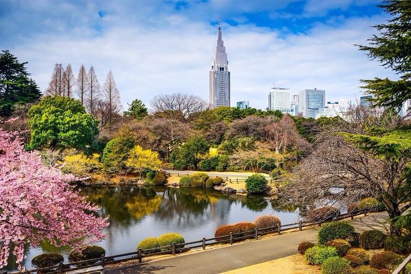 秋の風物詩！都会の中心・新宿御苑で紅葉を見に行こう