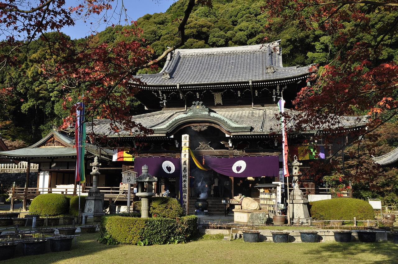 京都宇治の穴場、三室戸寺で恋愛祈願！ハート型のあじさいを見つけに行こう♡ 