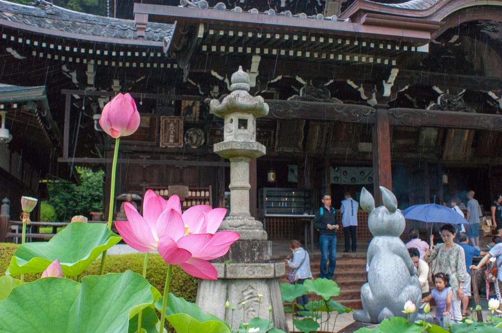 京都宇治の穴場、三室戸寺で恋愛祈願！ハート型のあじさいを見つけに行こう♡ 