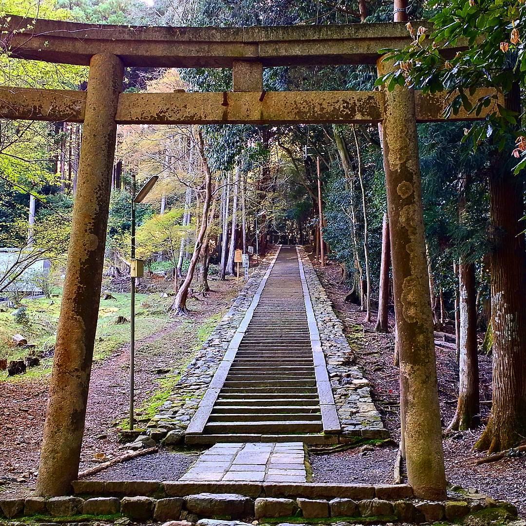 京都・醍醐寺はアクセス途中にお楽しみも！美しい境内と歴史ある建造物のコラボ