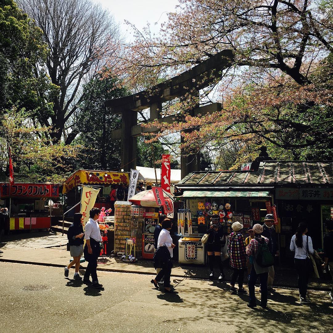 お花見定番の上野公園で桜を見よう！見頃とポイントは？