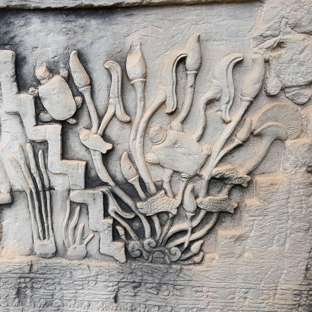 【カンボジア】アンコール・トムの中心寺院、バイヨンのルートをご案内！　