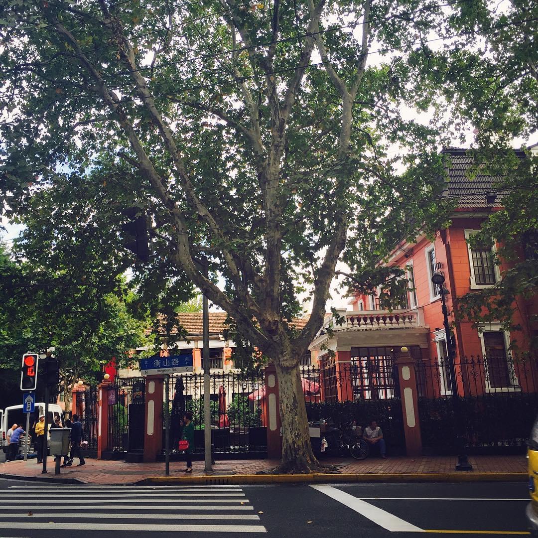 【記事重複・移行済み】中国・上海の人気観光地を巡るプラン！上海満喫おすすめスポット