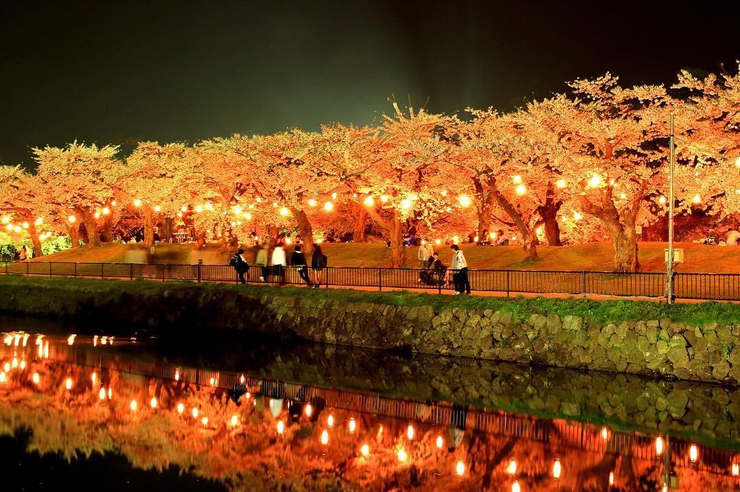 北海道旅行函館・北斗市お花見スポット5選！北海道新幹線で行く春・GWにぴったりのお出かけ先