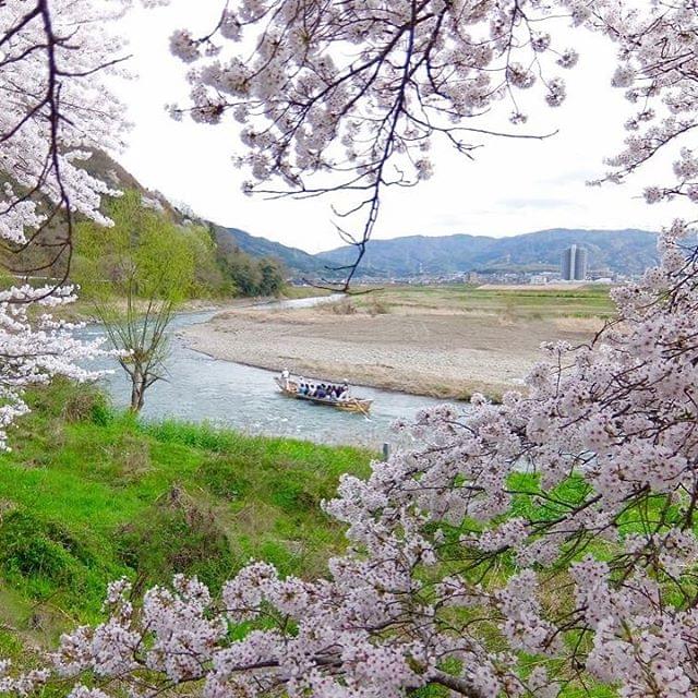 京都「保津川下り」って予約できるの？保津川下りで失敗しない方法