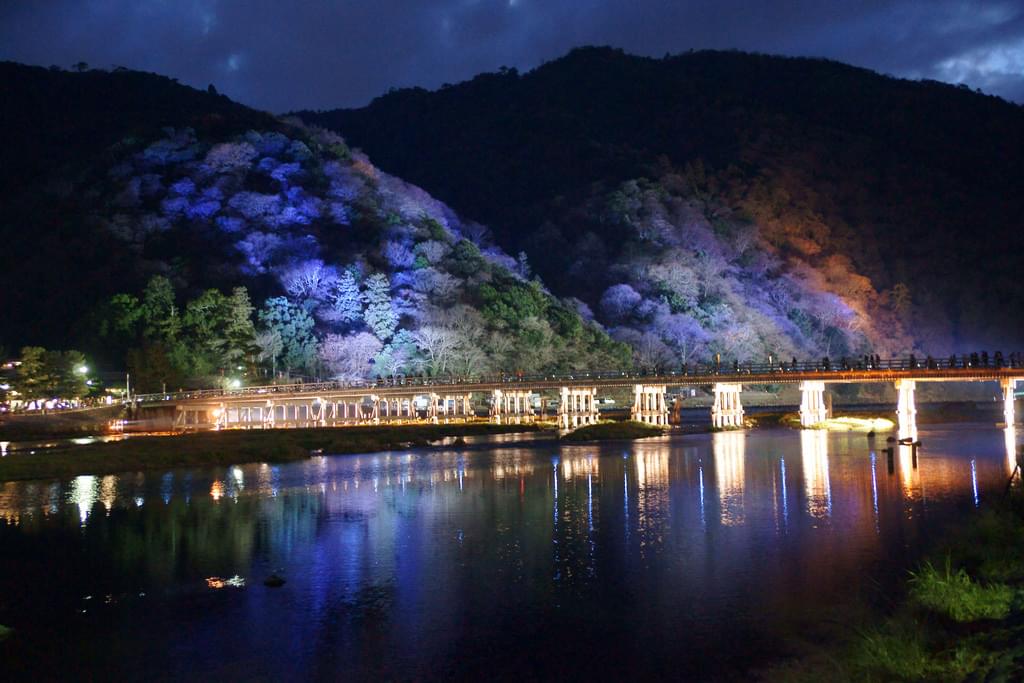 名所・渡月橋は夜のライトアップも見逃せない！日本の景観美を楽しもう