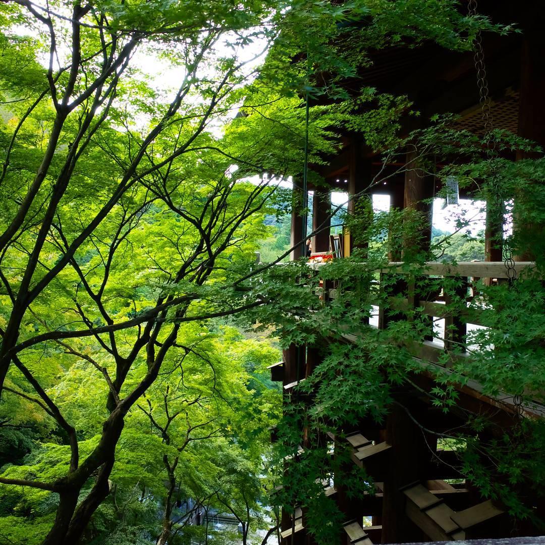 清水寺の知らなきゃ損する拝観時間？清水寺の疑問を解決！