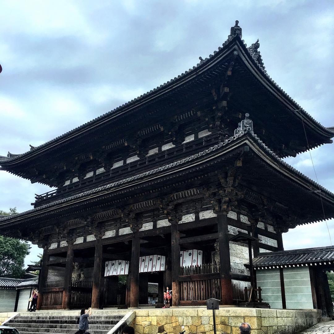 名勝・御室桜は必見！京都の世界遺産、仁和寺へお花見に出かけよう