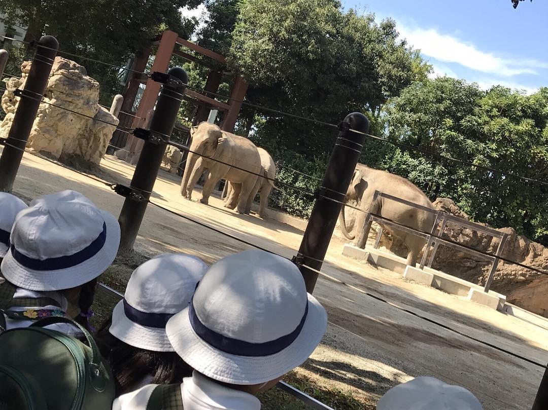少しでもお得に行きたい！上野動物園の割引サービスを使う方法