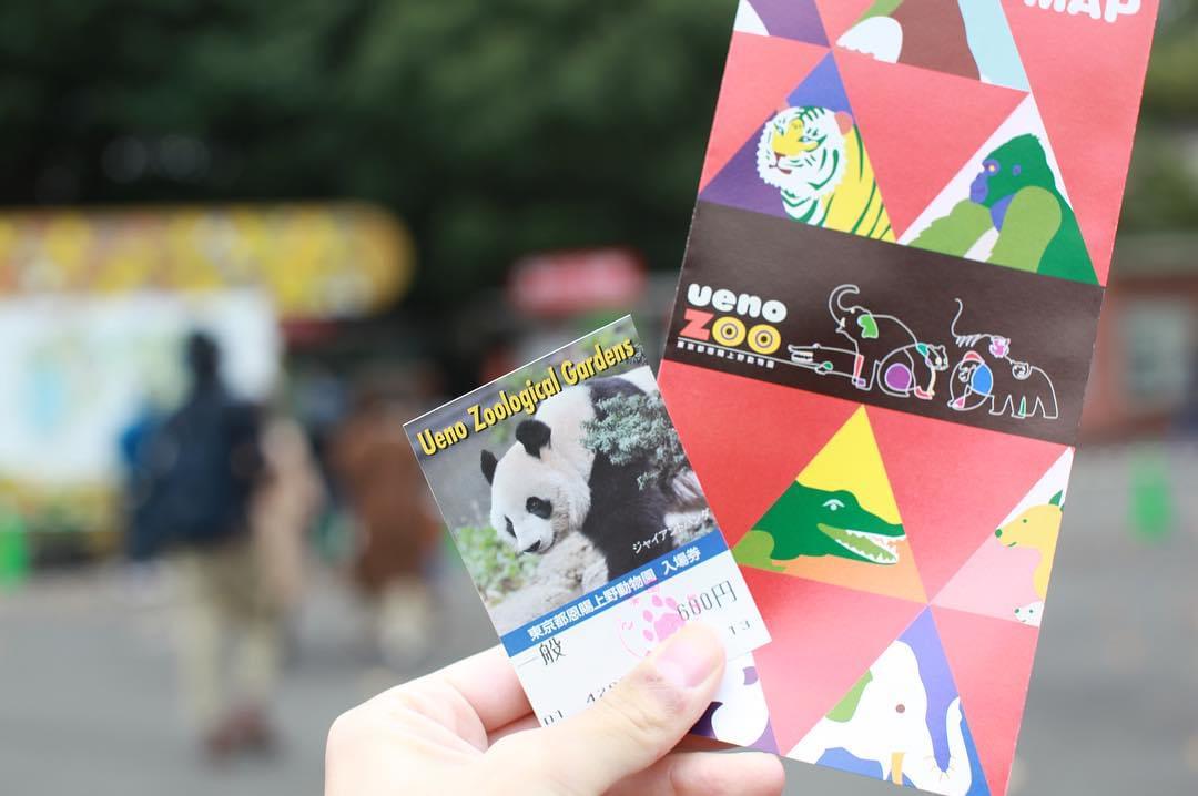 少しでもお得に行きたい！上野動物園の割引サービスを使う方法