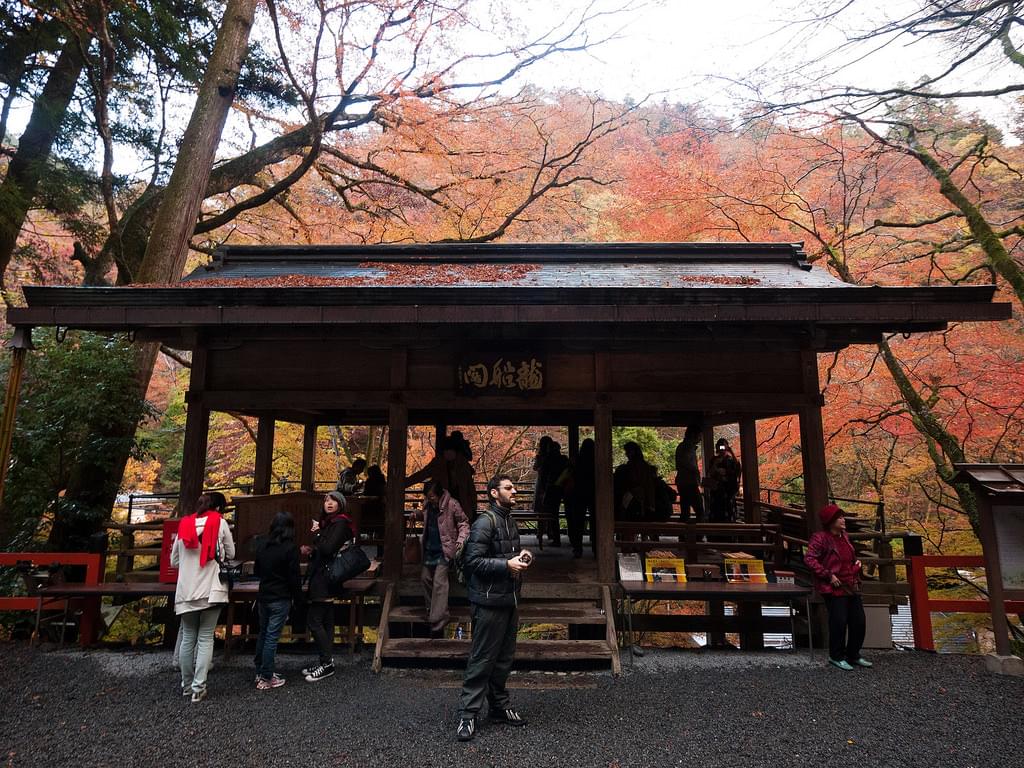 錦繍の秋を堪能！京都・貴船神社へ行くなら紅葉ローカル列車に乗って