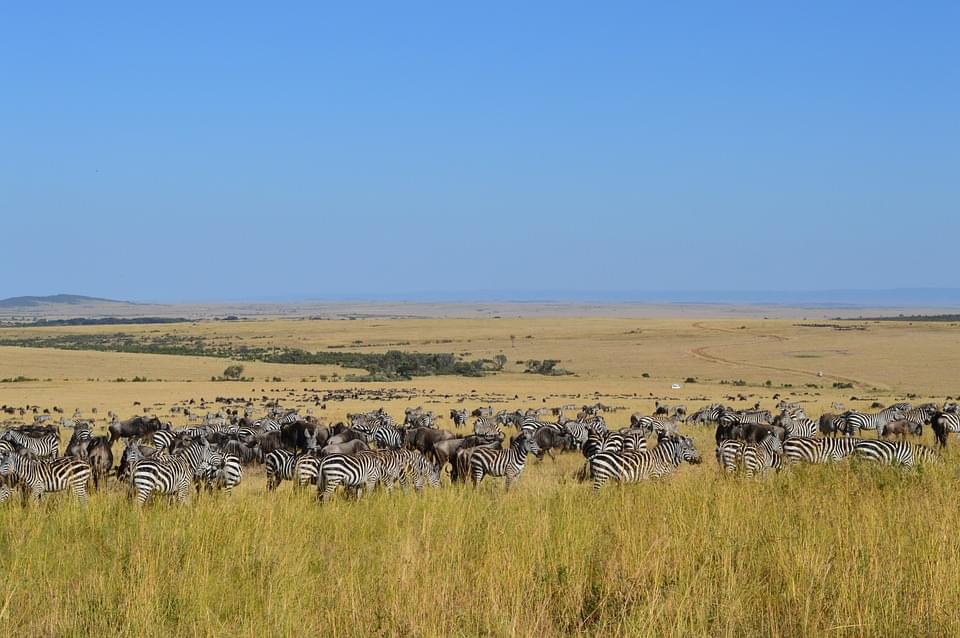 ケニアのマサイマラ国立保護区！熱気球でアフリカを体感！