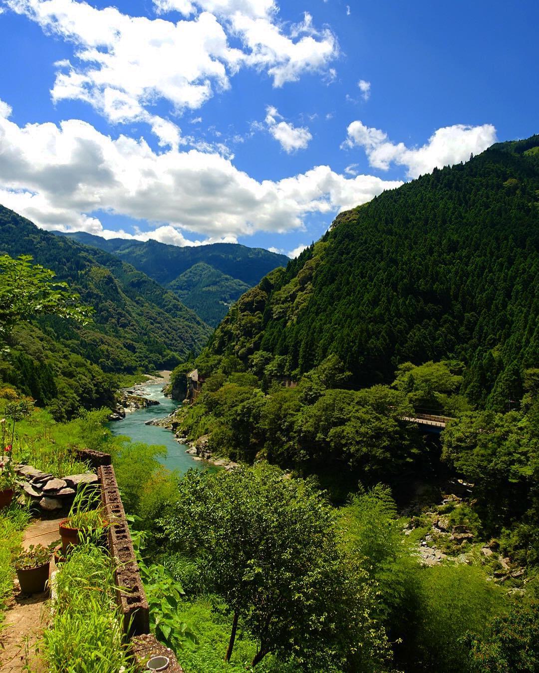 美しすぎる徳島・祖谷渓はまるで中国の秘境!?絶景を拝みに旅行へ出掛けよう