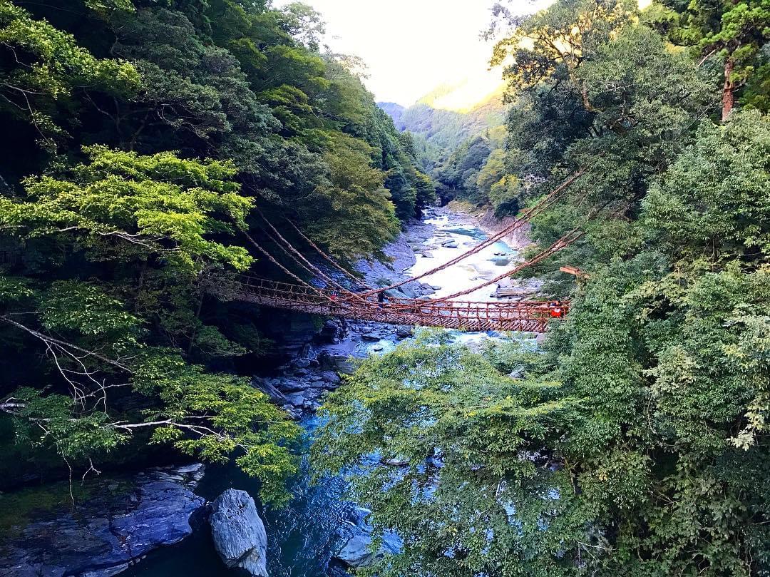 美しすぎる徳島・祖谷渓はまるで中国の秘境!?絶景を拝みに旅行へ出掛けよう