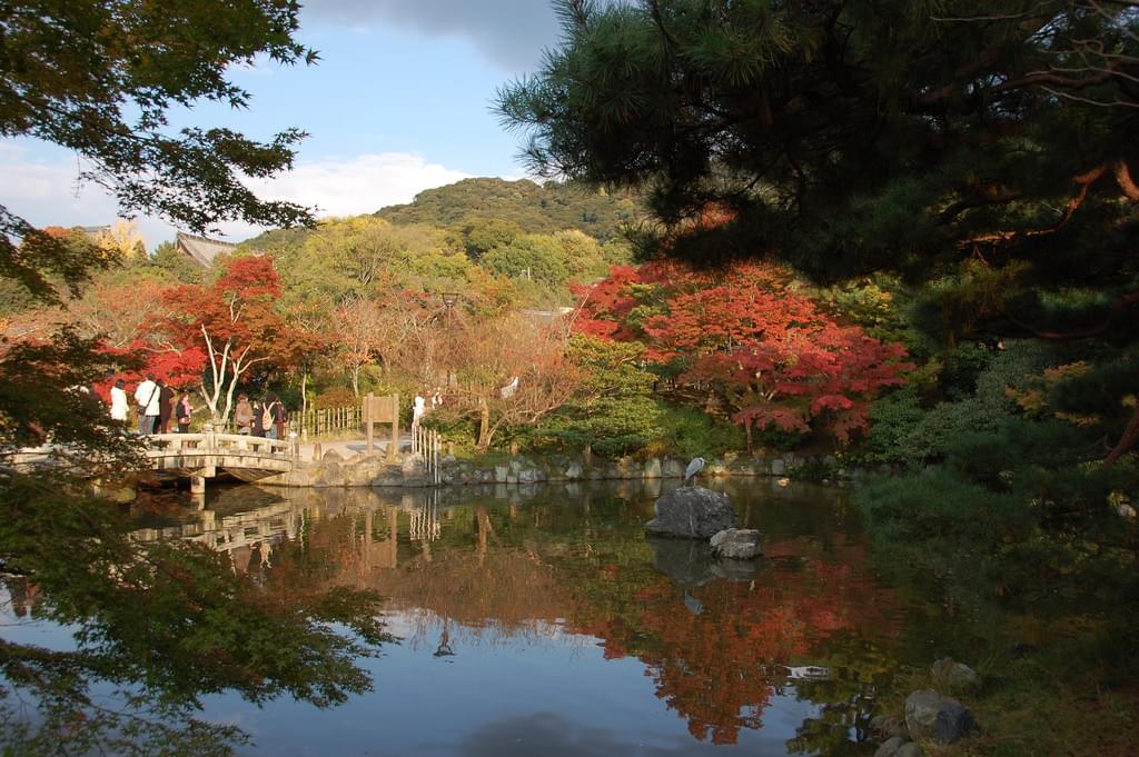 見どころがいっぱいの京都・円山公園へ観光に行こう！