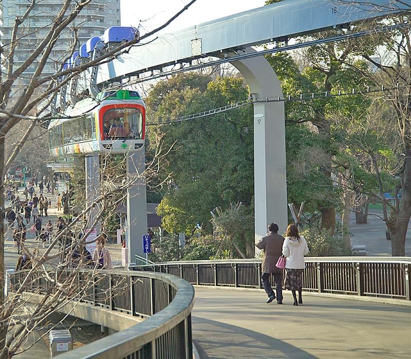 上野動物園に車で行きたい！近くて便利な駐車場はどこにある？