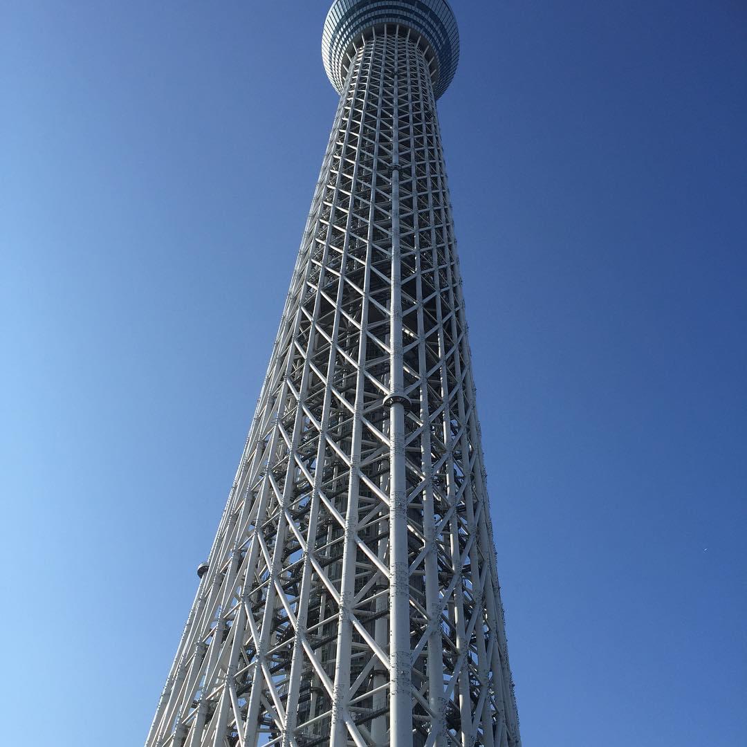 はとバスで行く東京観光！大満足のコースをご紹介