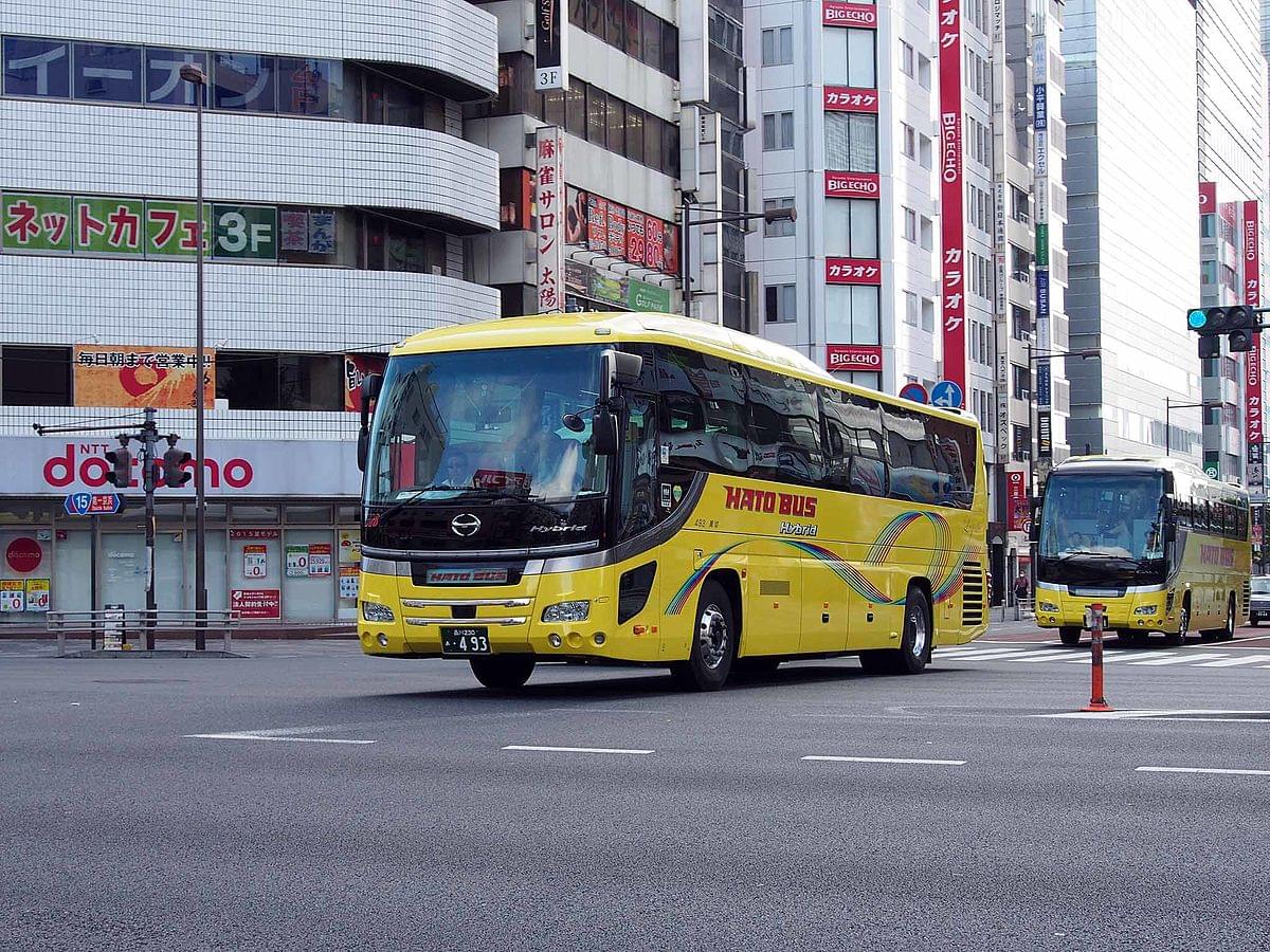 東京から関東近郊に日帰りで行ける！はとバスの日帰りツアーがすごい