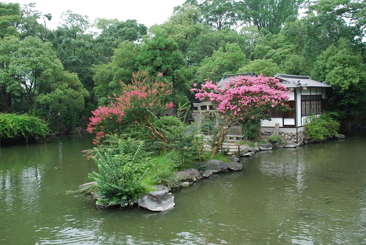 京都の桜は京都御苑から、約1カ月のお花見を楽しもう！