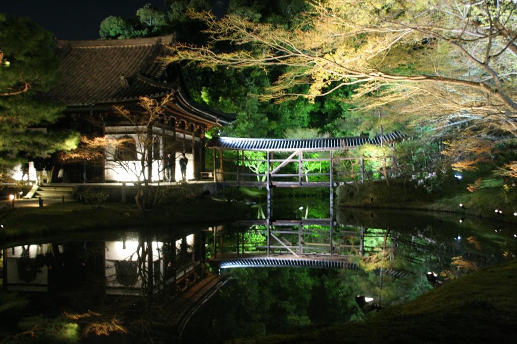 京都・ねねのお寺、高台寺のライトアップは言葉を失う美しさ！