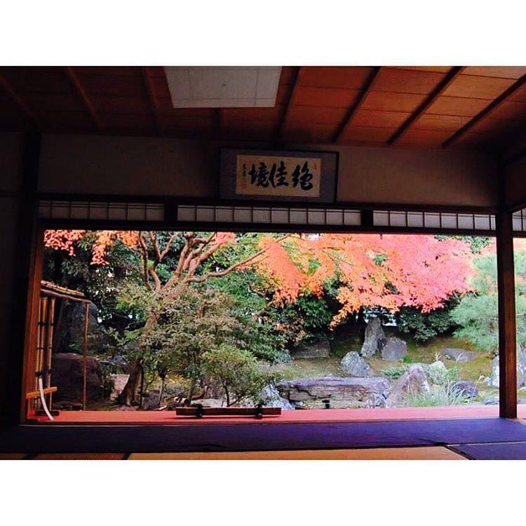 京都・ねねのお寺、高台寺のライトアップは言葉を失う美しさ！