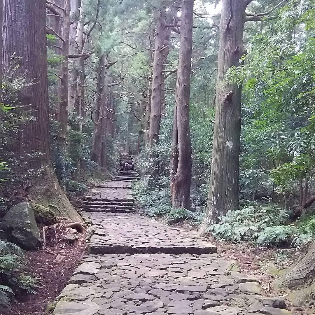 世界遺産・熊野古道で巡るおすすめ観光地スポット！熊野三山に行こう！