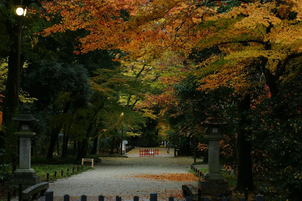 京都の世界遺産「下鴨神社」で紅葉を楽しもう！