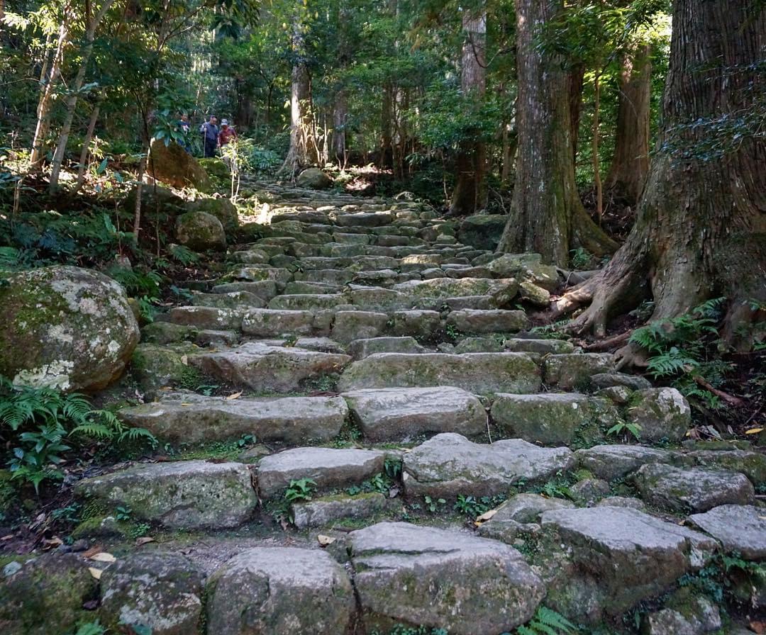 世界遺産・熊野古道で巡るおすすめ観光地スポット！熊野三山に行こう！