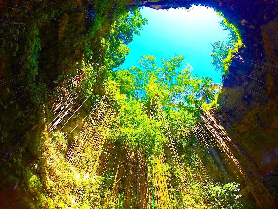 メキシコの聖なる泉セノーテへ！水中写真で感動を拡散！