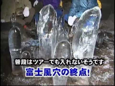 日本の天然記念物「青木ヶ原樹海」で森林ガイドツアー体験！